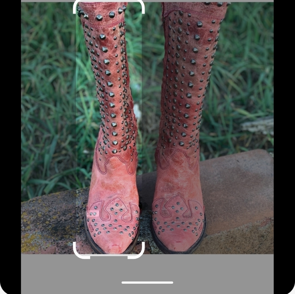 ISO Corral Boots 8.5 or 9
